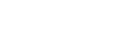 Logo Metropolnet